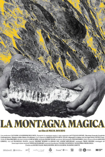 La montagna magica movie poster