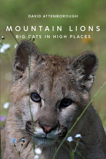 Mountain Lions: Big Cats in High Places movie poster
