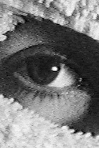 Pneurosis (en el baño) movie poster