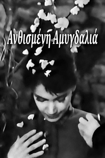 Blossoming Almond Tree movie poster