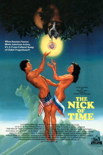 The Nick Of Time movie poster