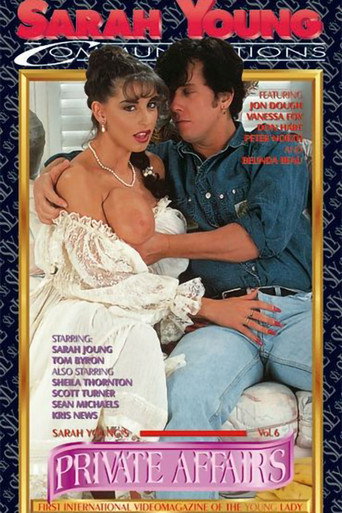 Private Affairs 6 movie poster