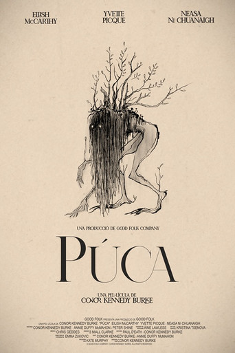 Púca movie poster