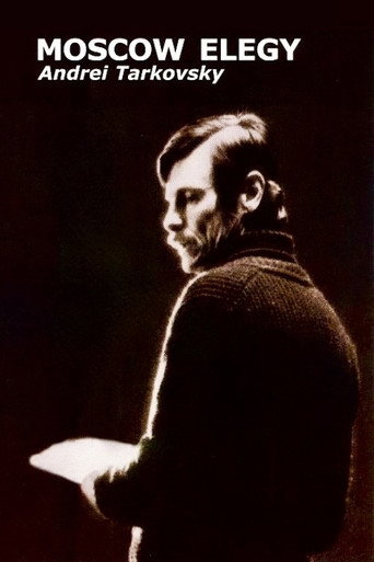 Moscow Elegy movie poster