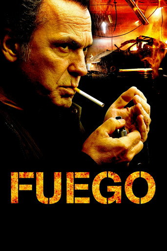 Fire movie poster