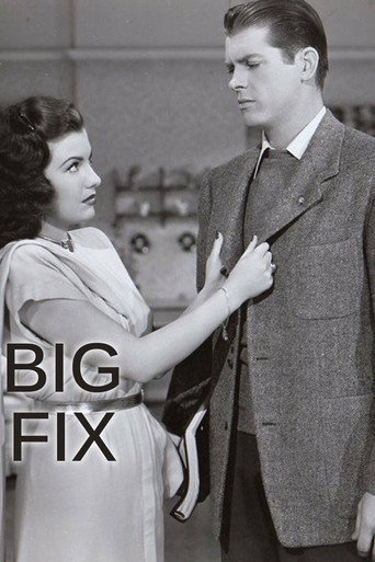 The Big Fix movie poster