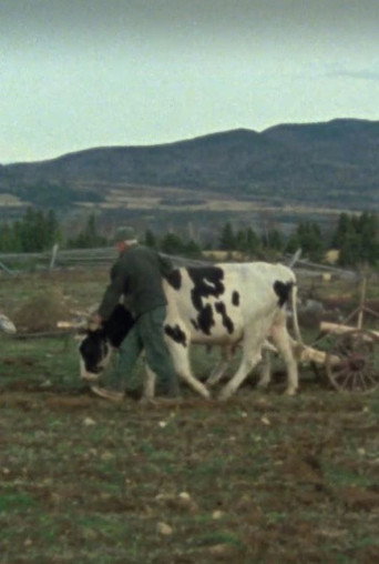 Les boeufs de labour movie poster