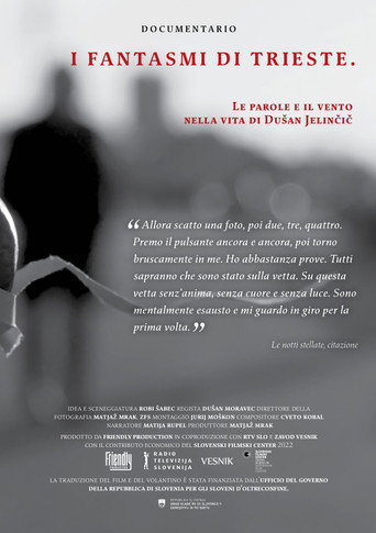 The Apparitions of Trieste, Words and Wind in the Life of Dušan Jelinčič movie poster