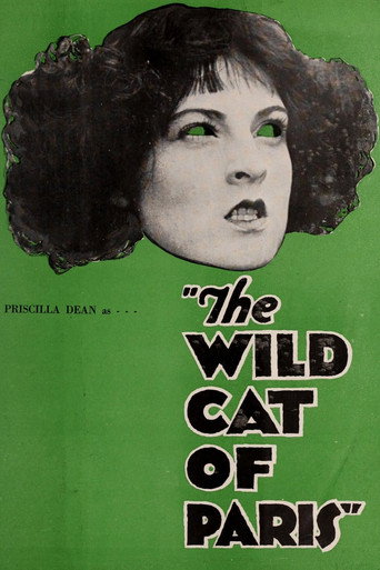 The Wildcat of Paris movie poster
