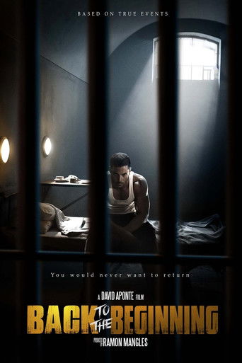 Back to the Beginning movie poster