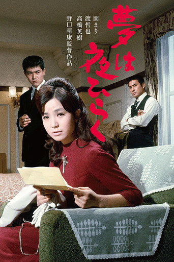 Dreams Come True at Night movie poster