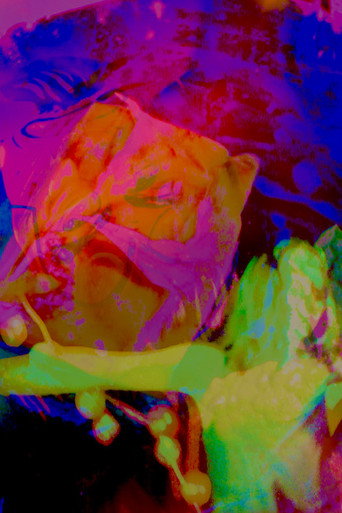 Hannah's Psycho-delic Adventure movie poster