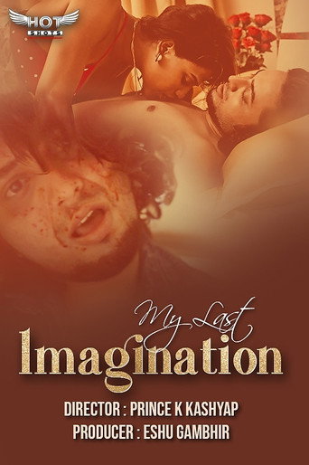 My Last Imagination movie poster