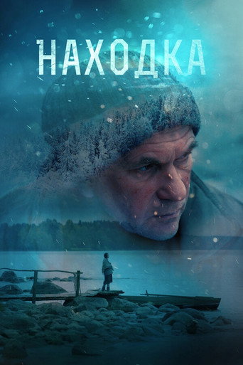The Find movie poster