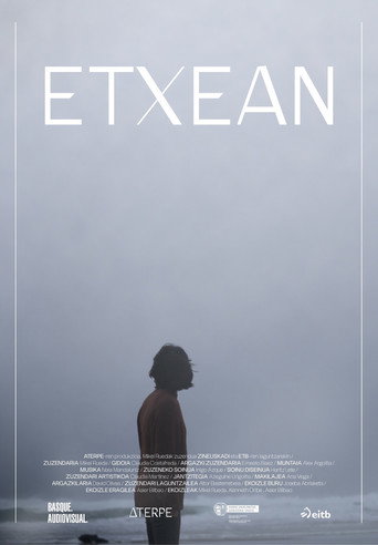 Home movie poster