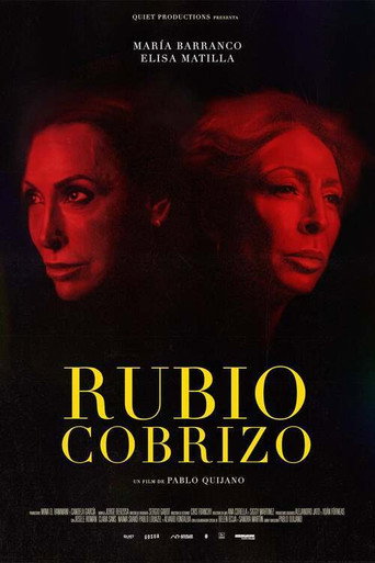 Rubio cobrizo movie poster