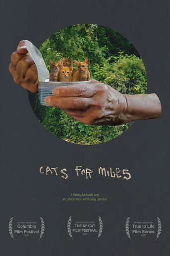 Cats for Miles movie poster