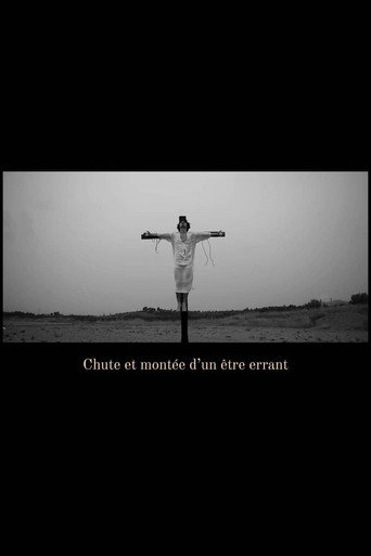 Chute et montée d'un être errant movie poster