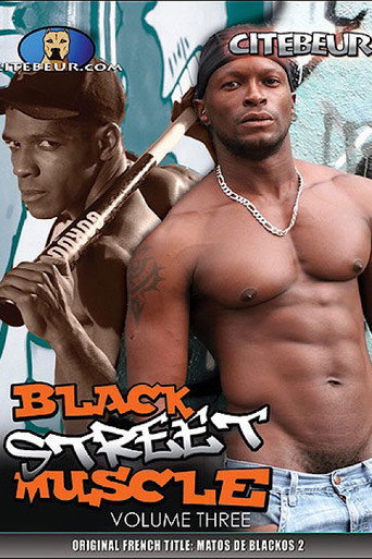Matos de blackoss 3: C’est bon quand ça glisse movie poster