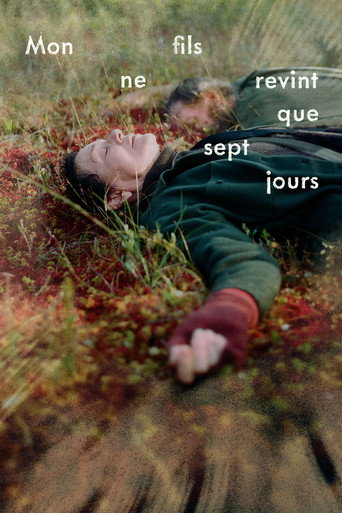 My Son Came Back to Disappear movie poster