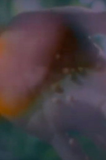 Birth movie poster