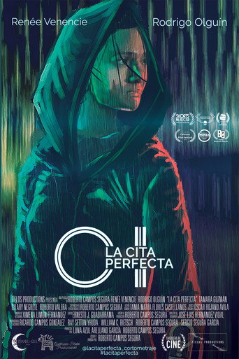 The Perfect Date movie poster