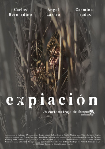 Expiación movie poster