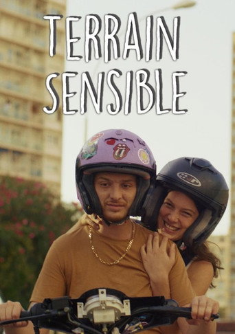 Terrain Sensible movie poster