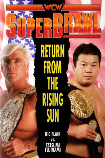 WCW SuperBrawl 1 movie poster
