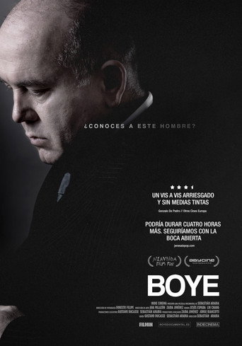 Boye movie poster