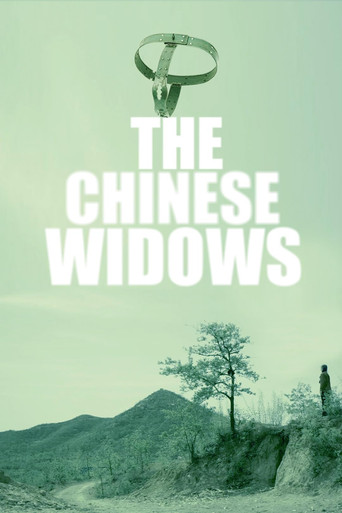 中国式寡妇 movie poster