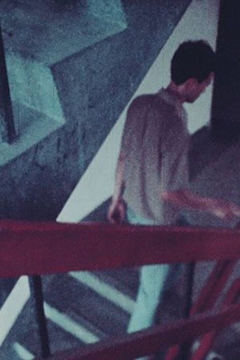 What to Do about Those Broken Stairs? movie poster