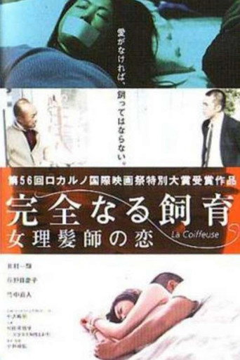 Perfect Education 5: Amazing Story movie poster