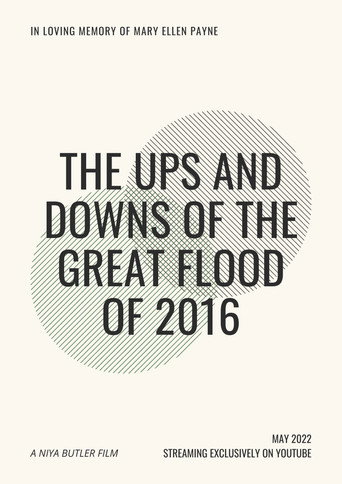 The Ups and Downs of the Great Flood of 2016 movie poster