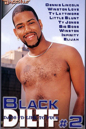 Black DILTF 2 movie poster