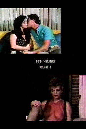 Big Melons 3 movie poster