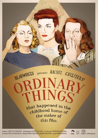 Ordinary Things (that happened in the childhood home of the maker of this film) movie poster