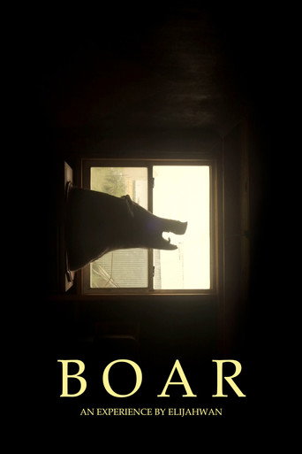 B O A R movie poster