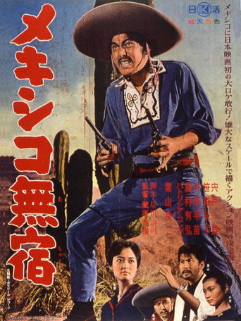 Mexico Drifter movie poster