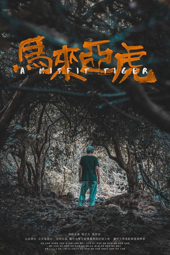 A Misfit Tiger movie poster