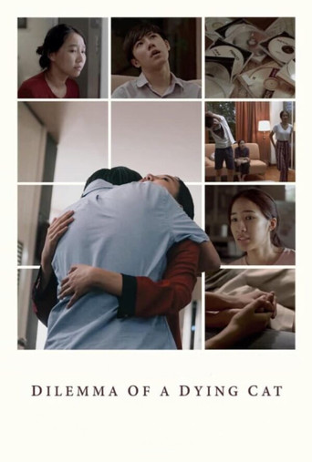 Dilemma Of A Dying Cat movie poster