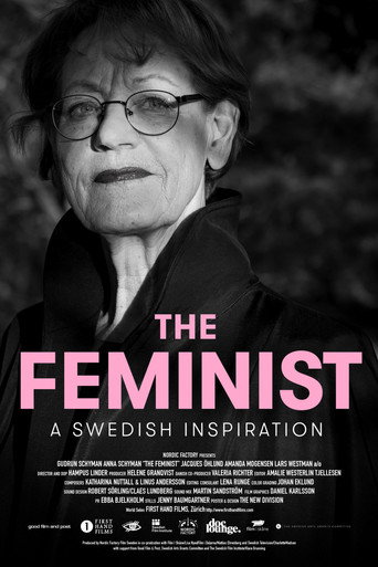 The Feminist : A Swedish Inspiration movie poster