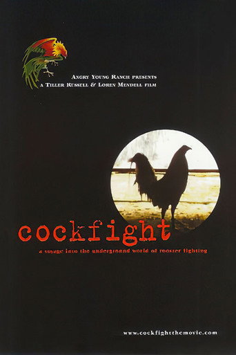 Cockfight movie poster