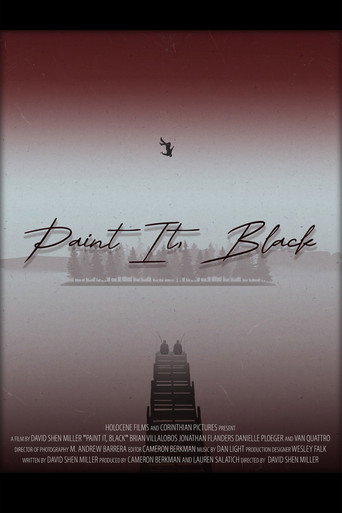 Paint it, Black movie poster