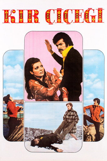 Kır Çiçeği movie poster