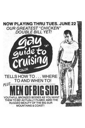 Gay Guide to Cruising movie poster