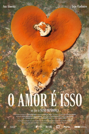 O Amor É Isso movie poster
