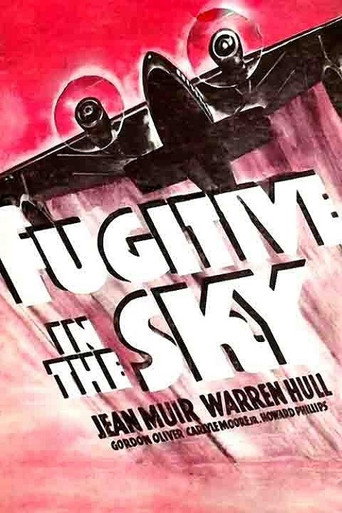 Fugitive in the Sky movie poster