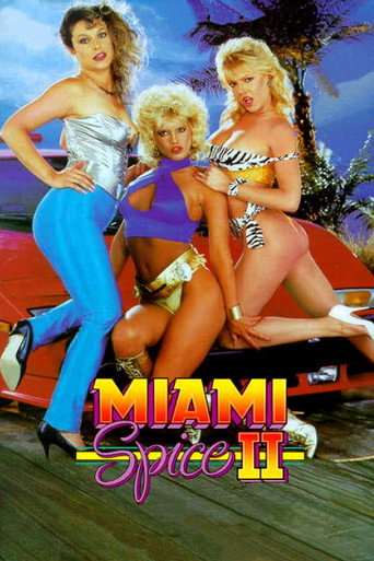 Miami Spice II movie poster