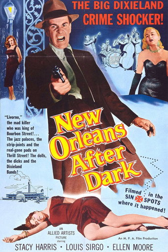 New Orleans After Dark movie poster